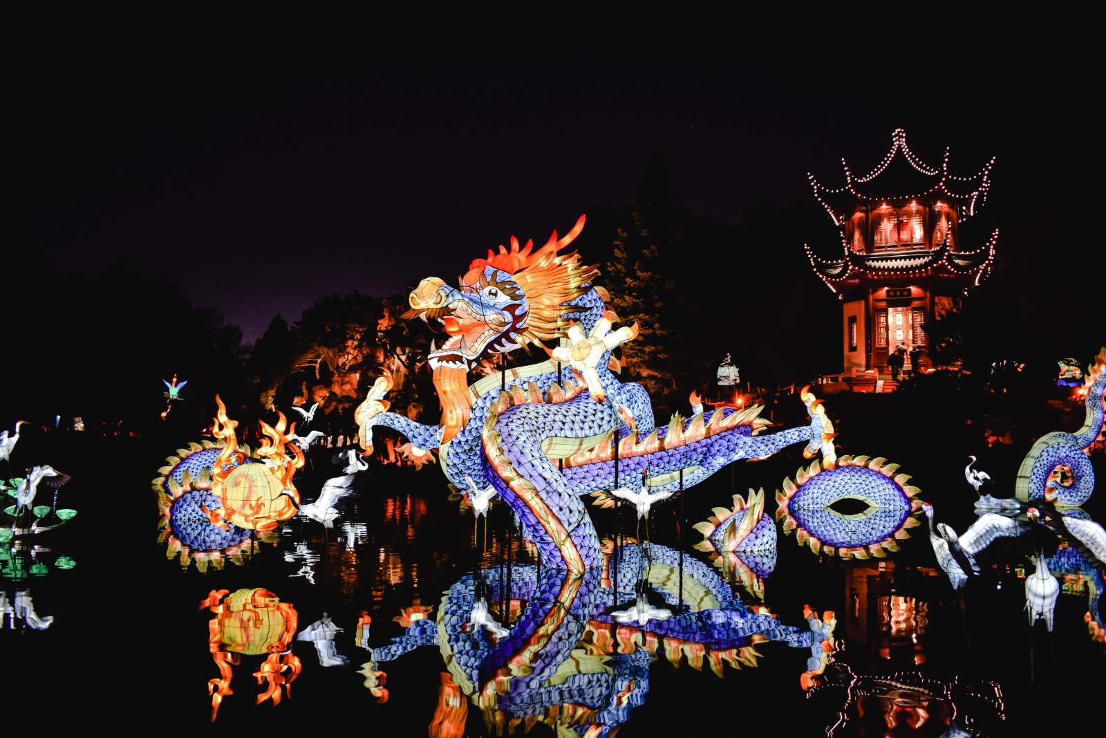 A blue chinese dragon in front of a traditional chinese building at night