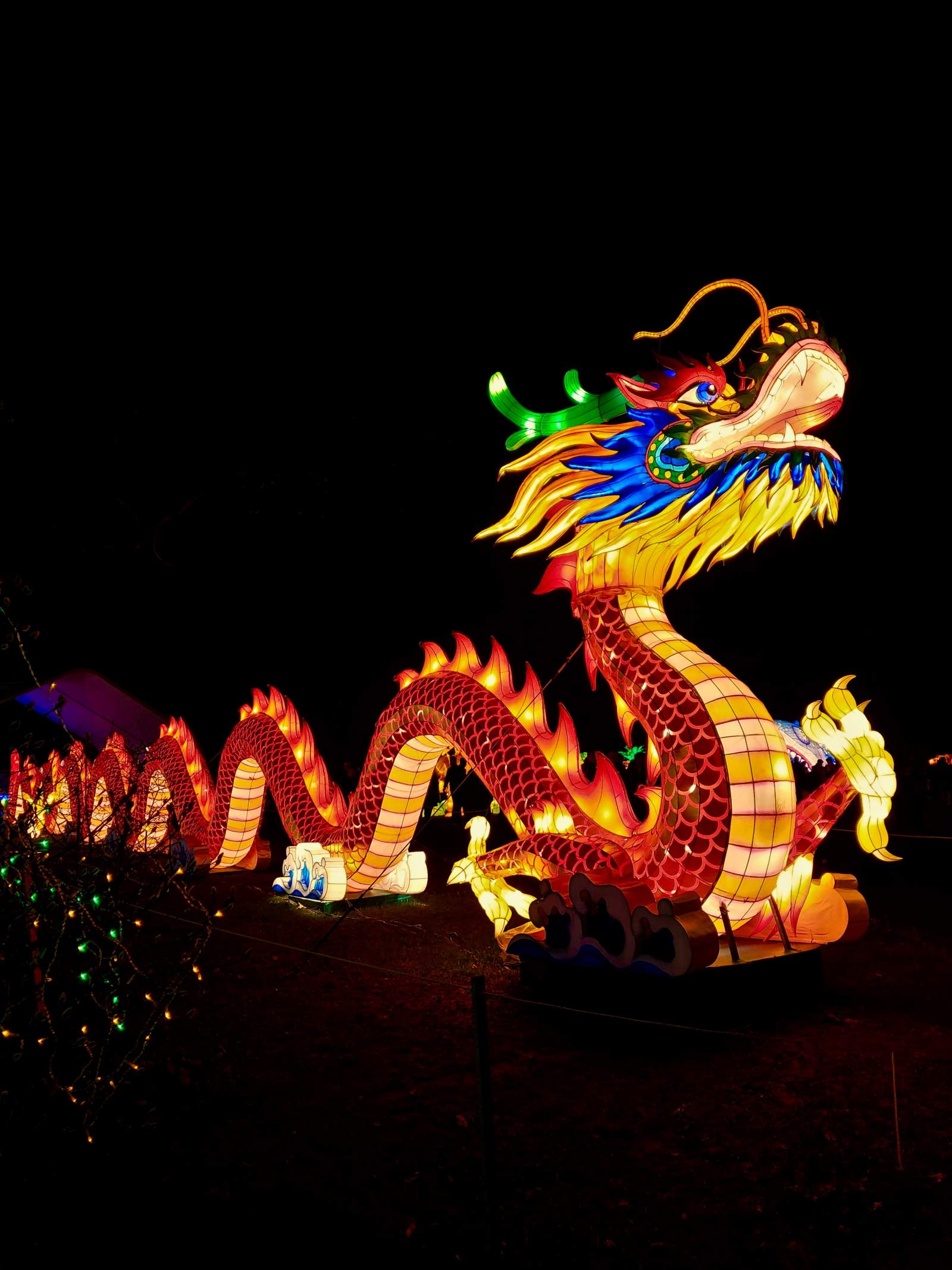 A long chinese dragon shining bright on a dark night