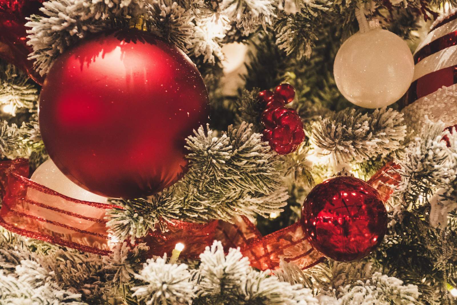 Baubles, berries and ribbon hanging in a snow covered fir tree